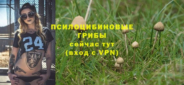 а пвп мука Абаза