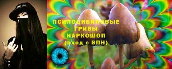 первитин Абинск