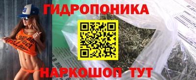 гашик Малоярославец