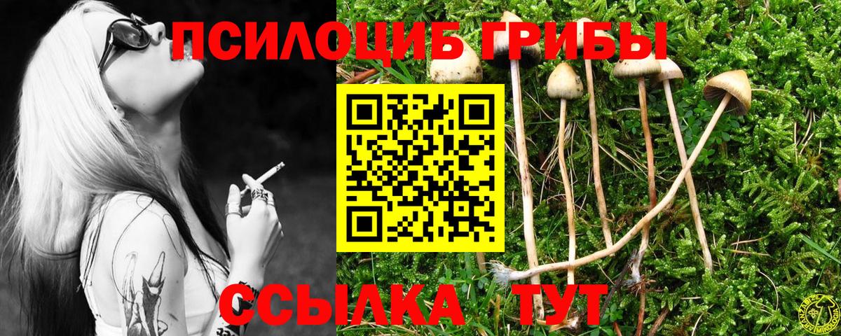 Холмск  Псилоцибиновые грибы мухоморы  Вход с VPN  Галлюциногенные грибы ЛСД 